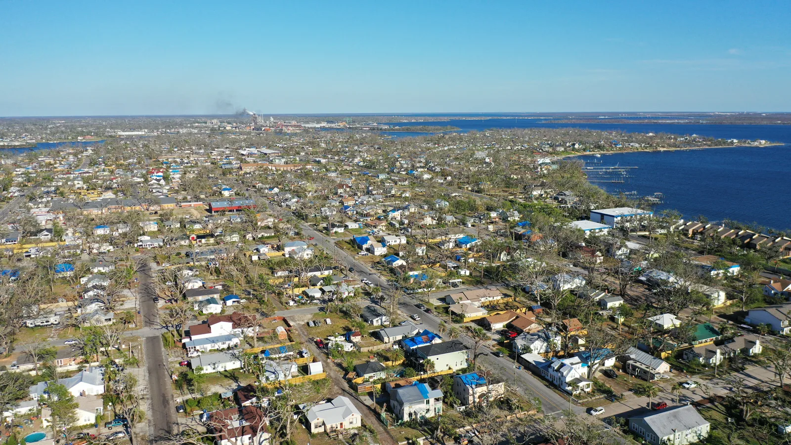 The neighborhood and shoreline — A wide aerial view connects the built landscape, vegetation and water.